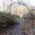 Geografisches Arboretum Rombergpark am 17,102018 (82)